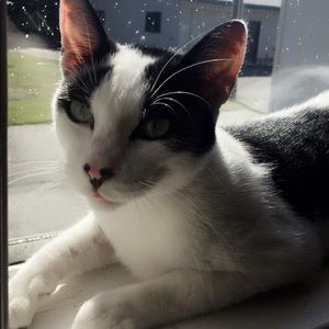 Meet your Posher, Megan